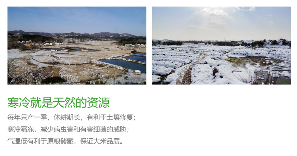 绿色资源